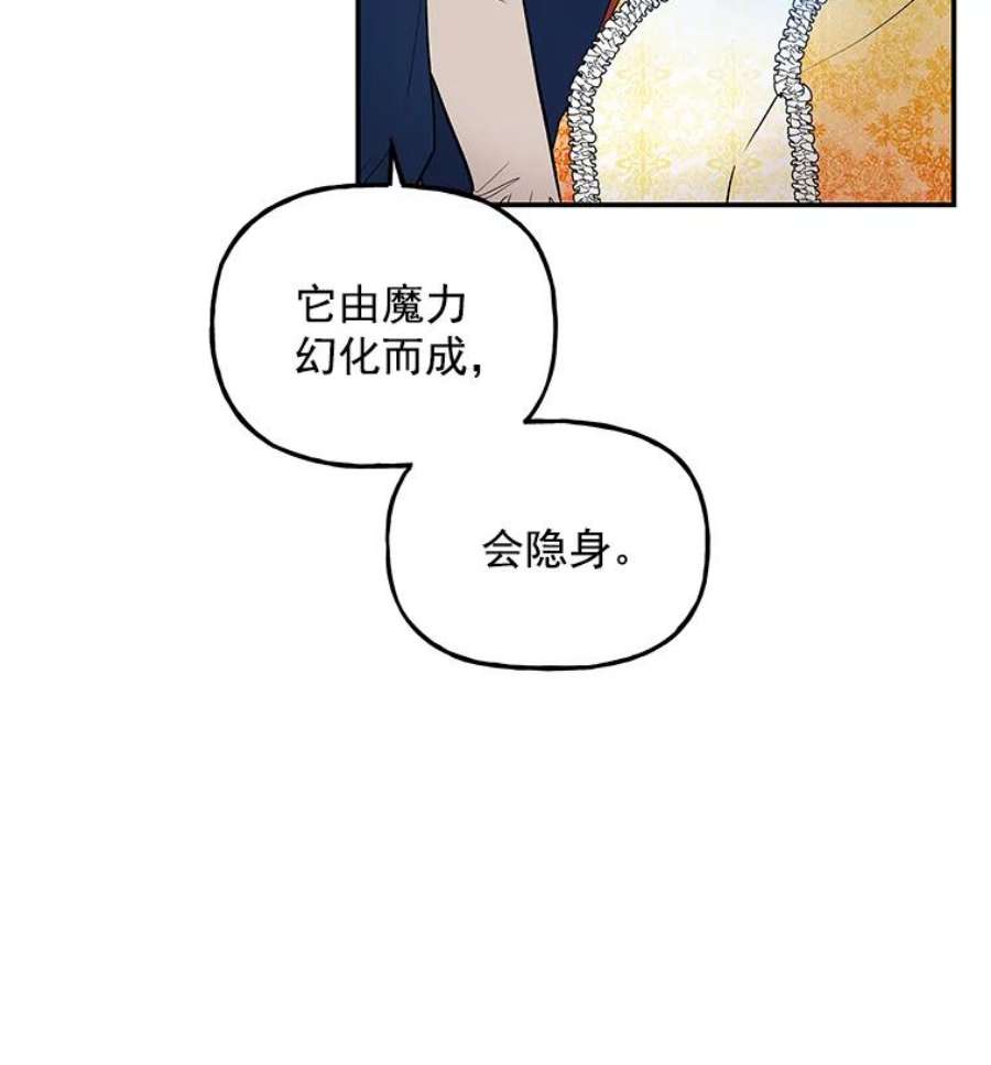 大魔法师的女儿免费观看漫画,20.传令鸟 16图