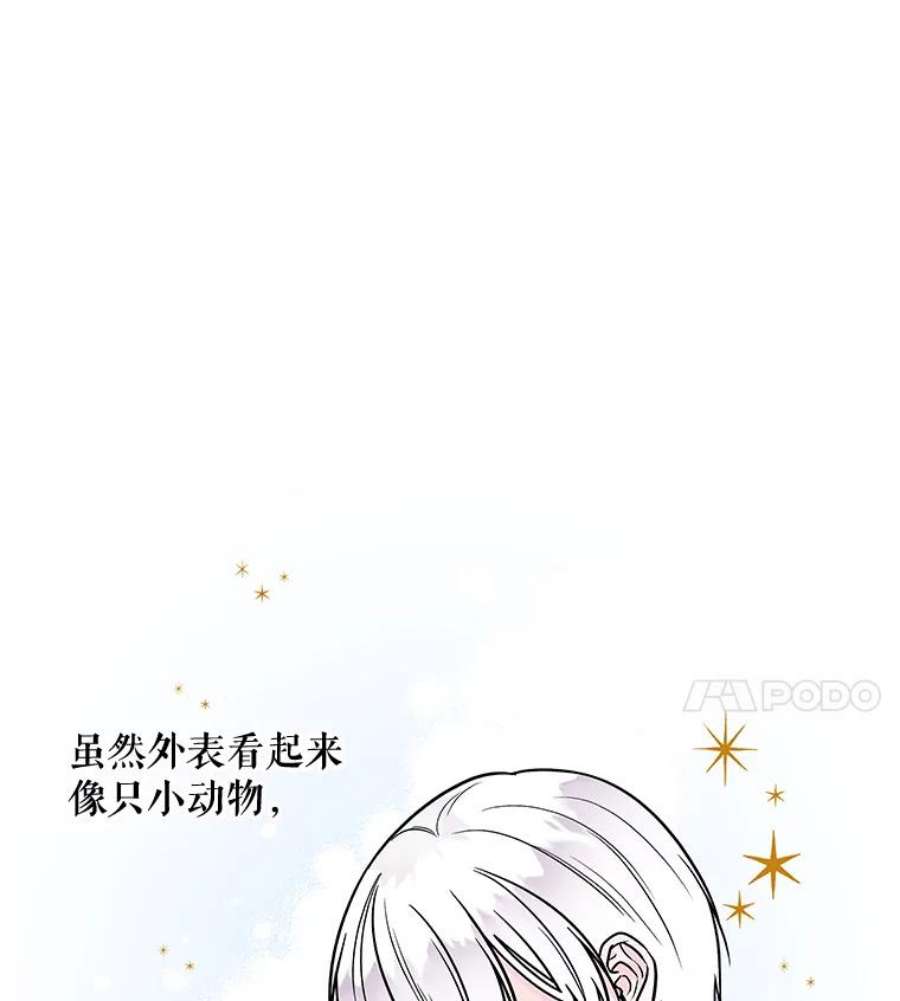 大魔法师的女儿免费观看漫画,20.传令鸟 51图