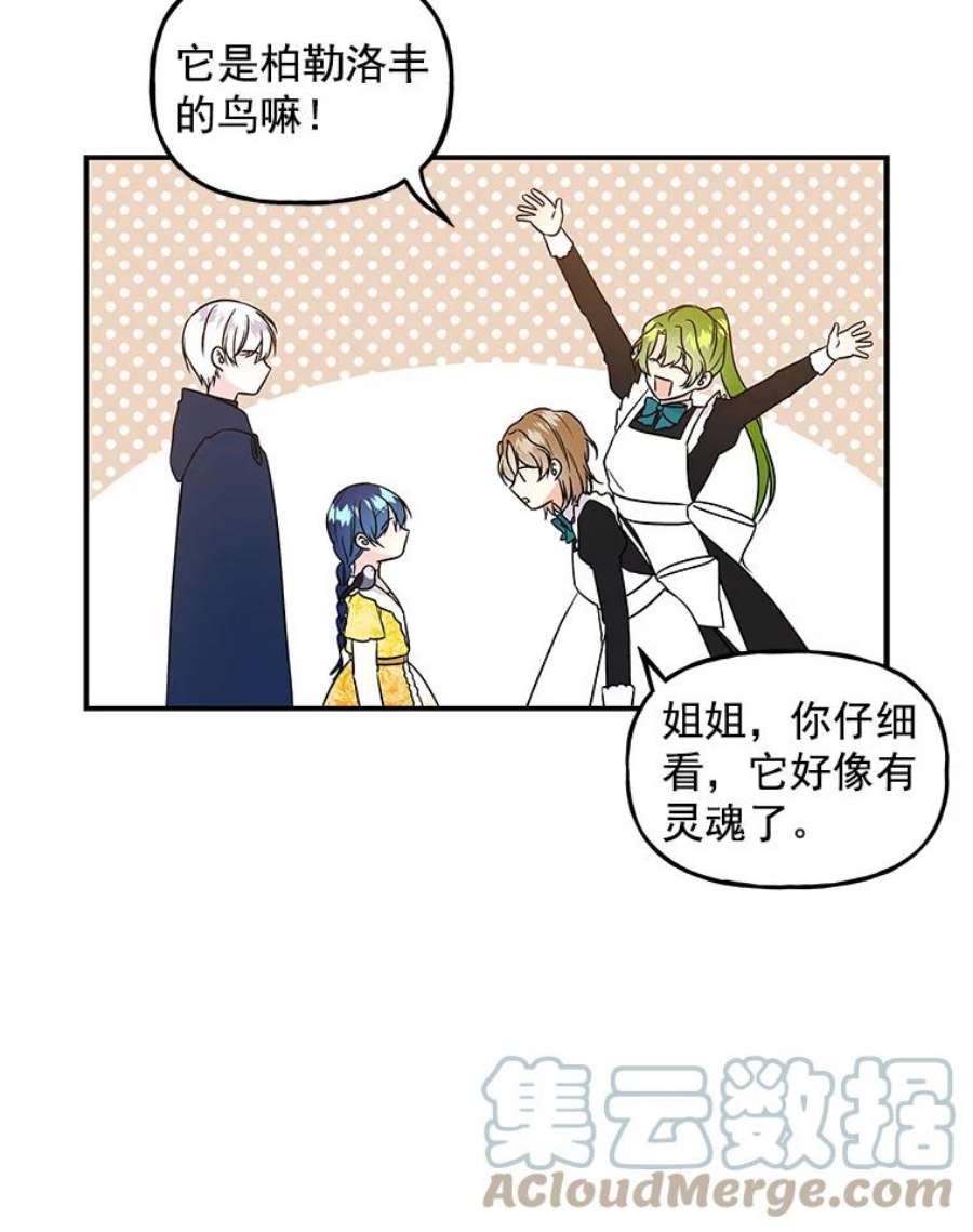 大魔法师的女儿免费观看漫画,20.传令鸟 49图