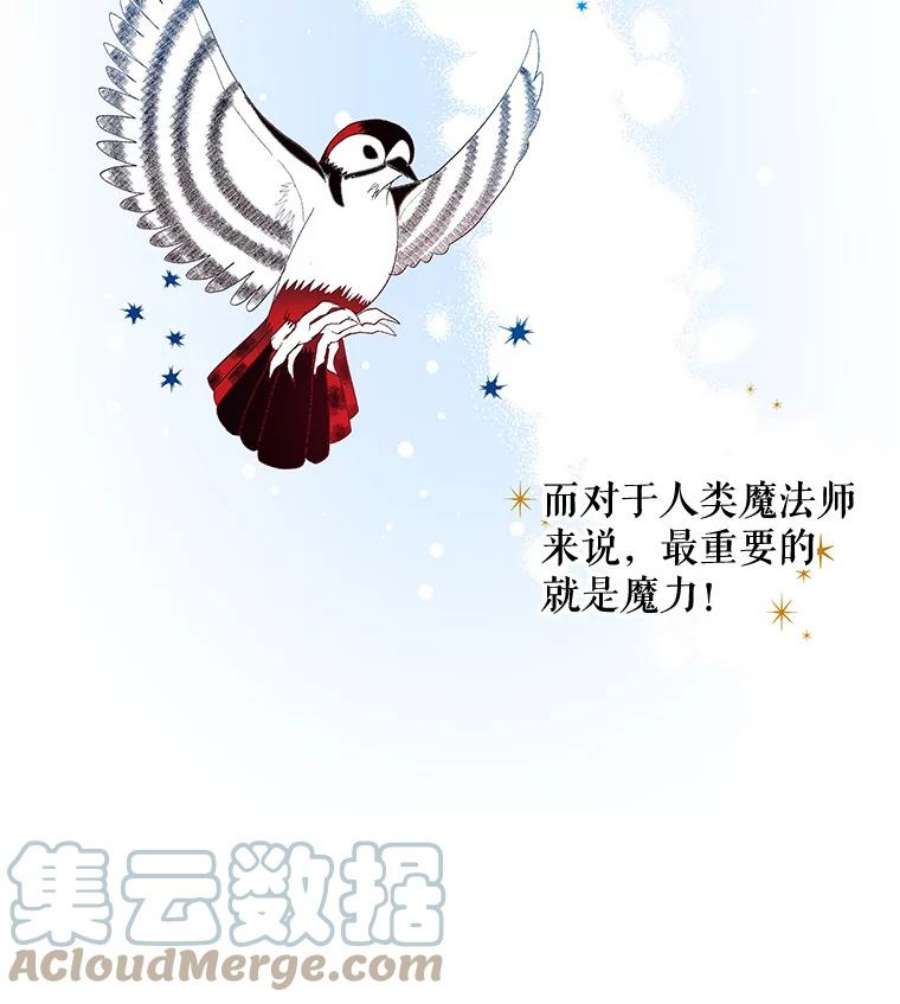 大魔法师的女儿免费观看漫画,20.传令鸟 53图