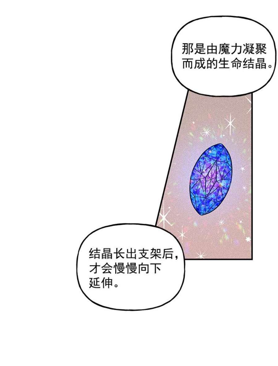 大魔法师的女儿漫画,22.魔晶石 41图