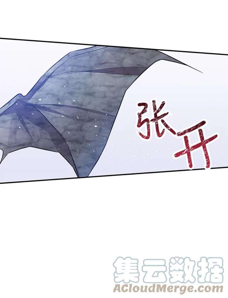 大魔法师的女儿免费观看漫画,29.攻击 10图