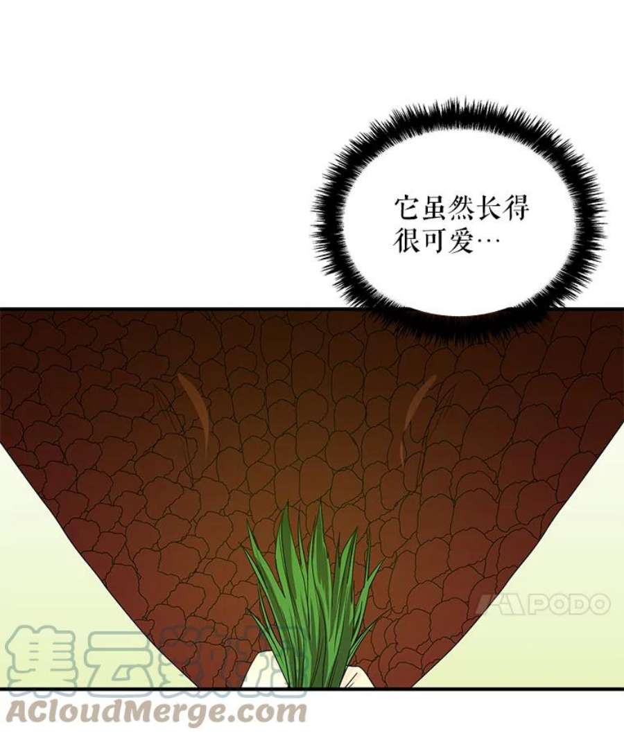 大魔法师的女儿免费观看漫画,34.家人 91图