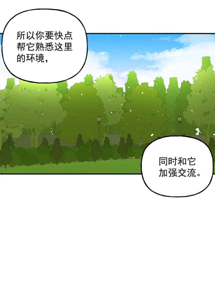 大魔法师的女儿漫画,35.拉索尔 35图