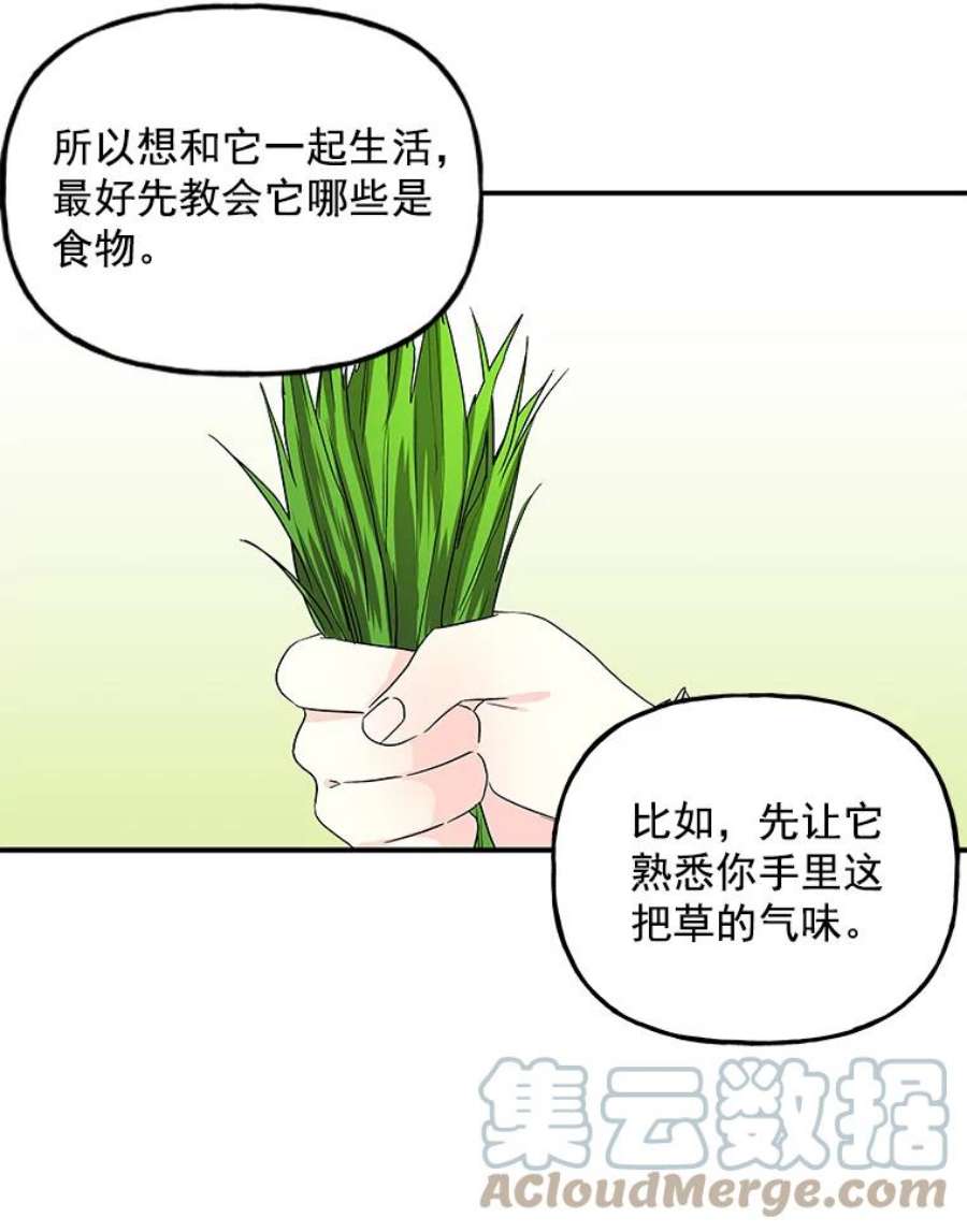 大魔法师的女儿漫画,35.拉索尔 31图