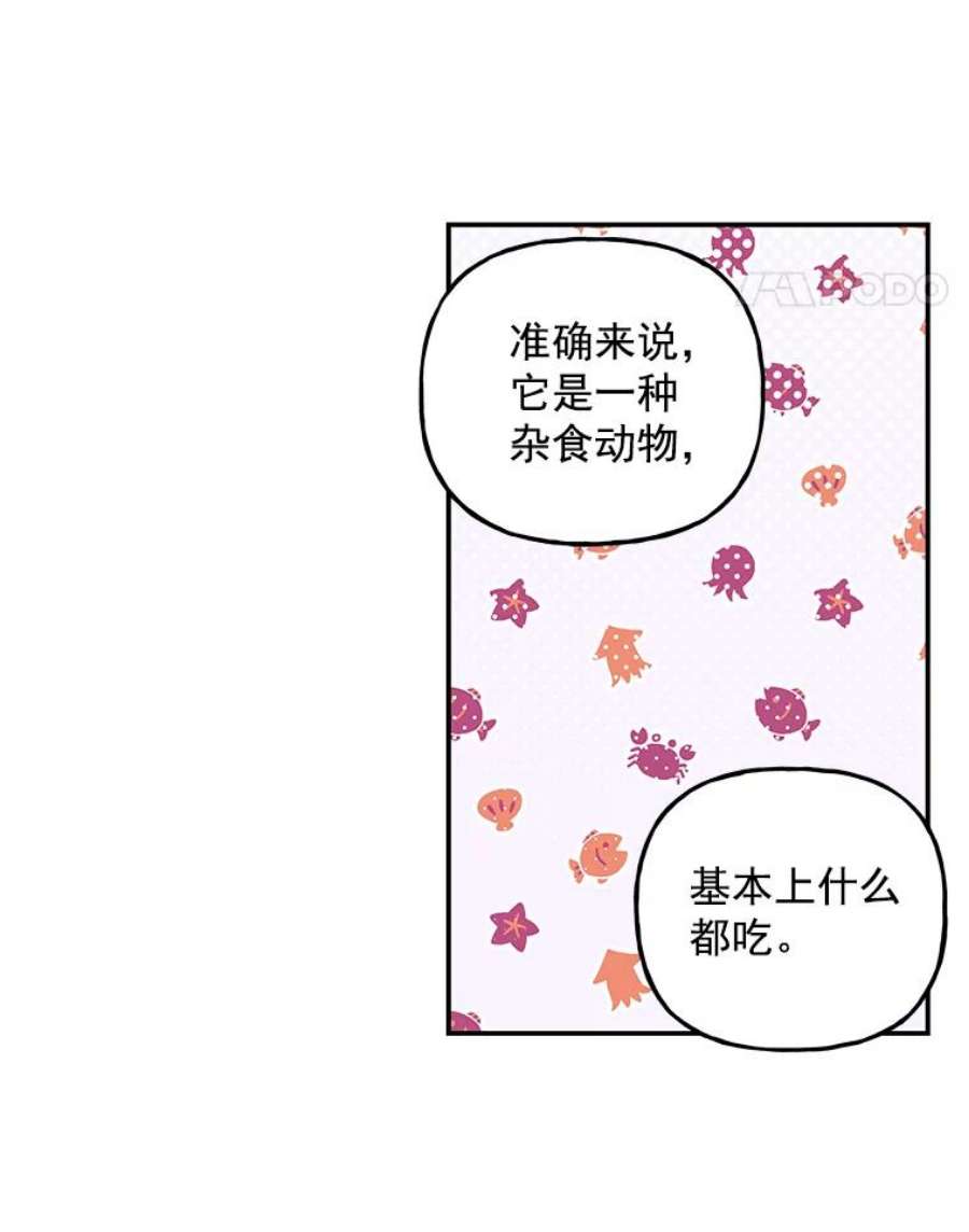 大魔法师的女儿漫画,35.拉索尔 30图