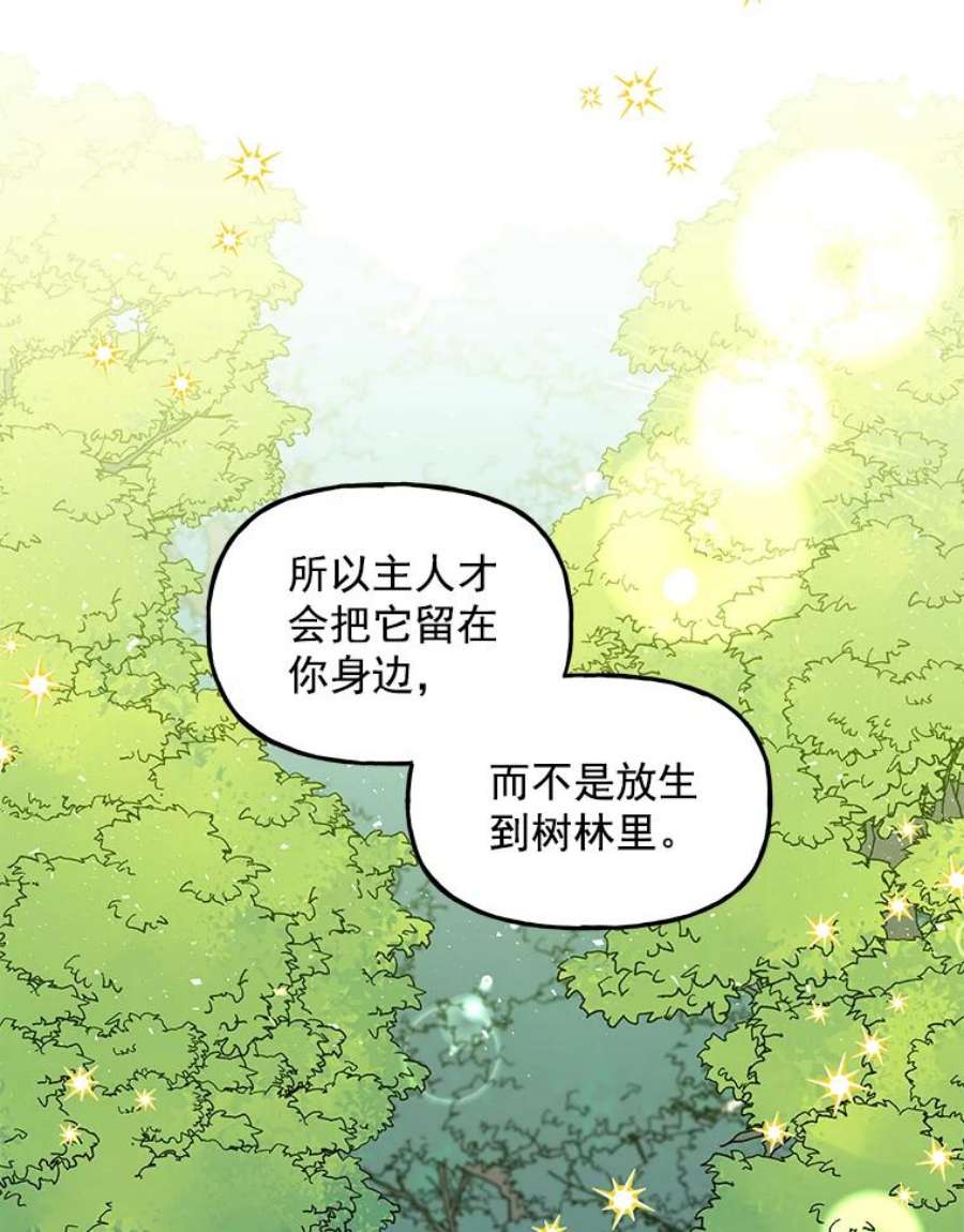 大魔法师的女儿漫画,35.拉索尔 41图