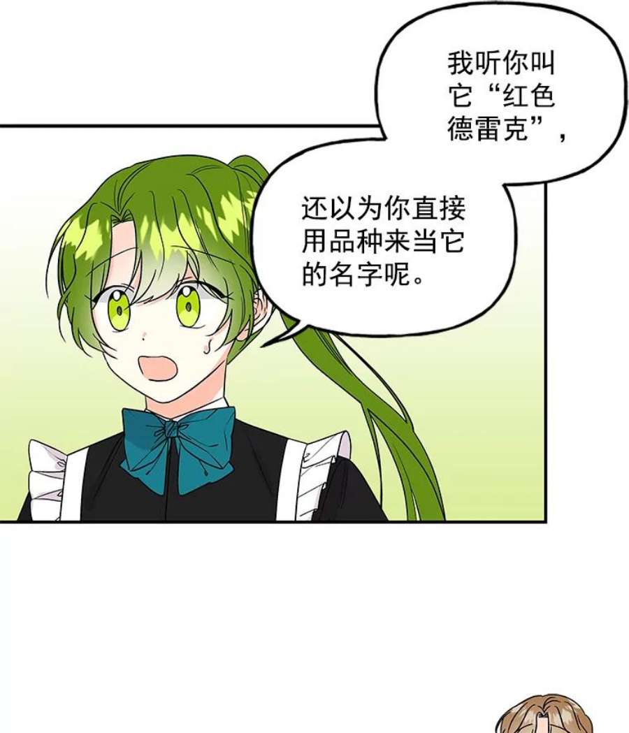 大魔法师的女儿漫画,35.拉索尔 51图