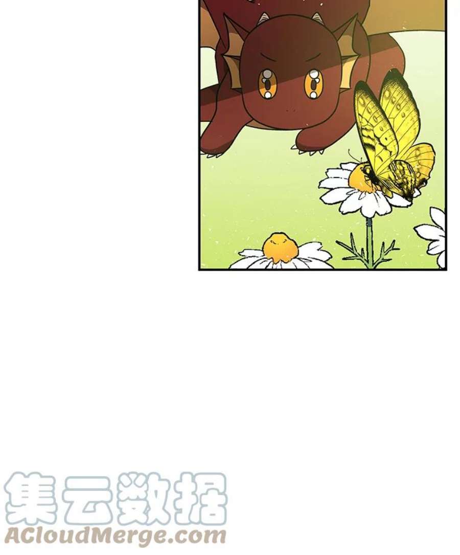 大魔法师的女儿漫画,38.阿斯兰 37图