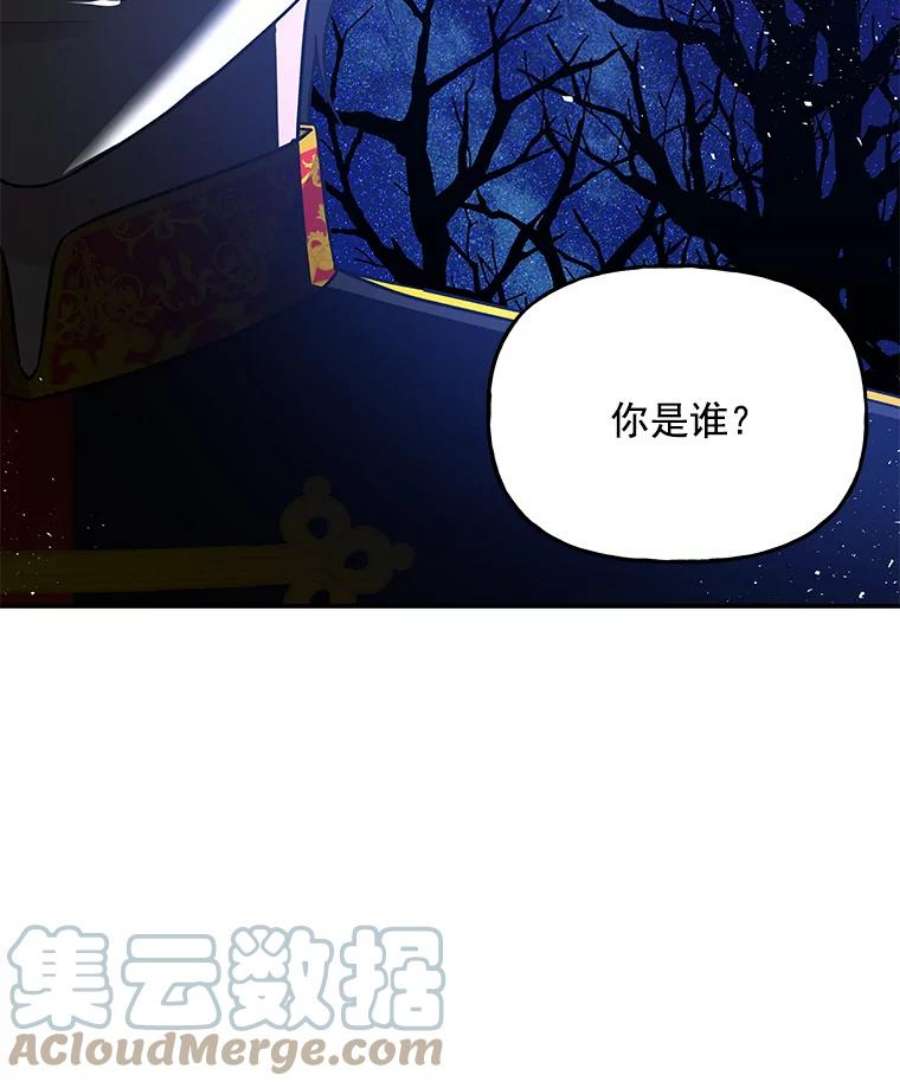 大魔法师的女儿免费观看漫画,47.神秘人 4图