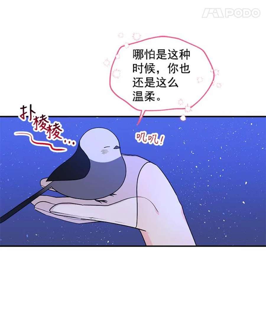 大魔法师的女儿免费观看漫画,47.神秘人 78图