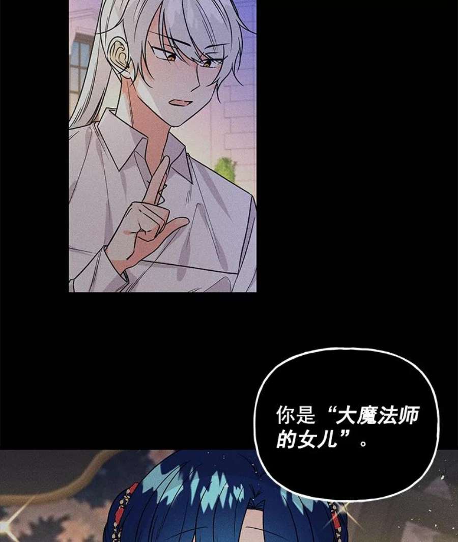 大魔法师的女儿免费观看漫画,50.皇帝 66图