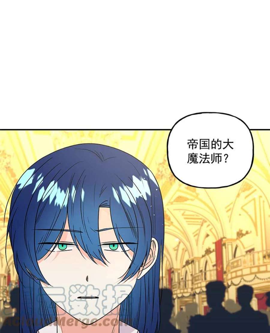 大魔法师的女儿免费观看漫画,50.皇帝 28图