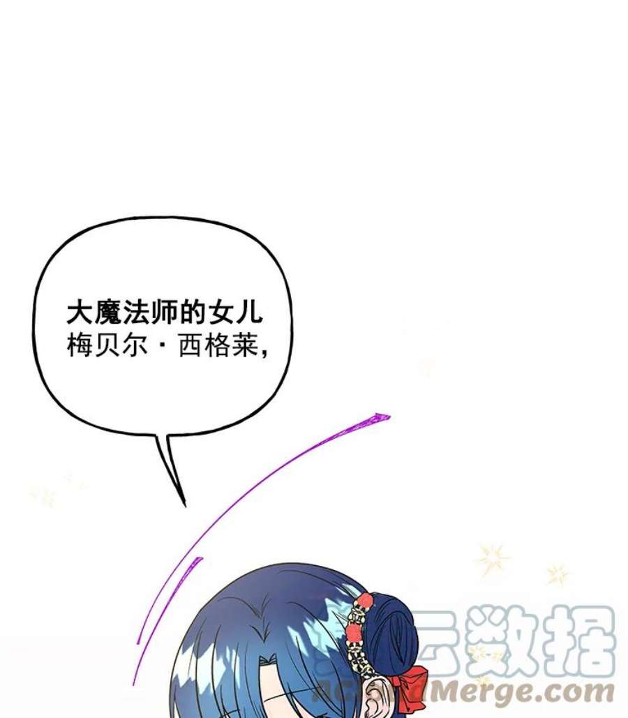 大魔法师的女儿免费观看漫画,50.皇帝 73图