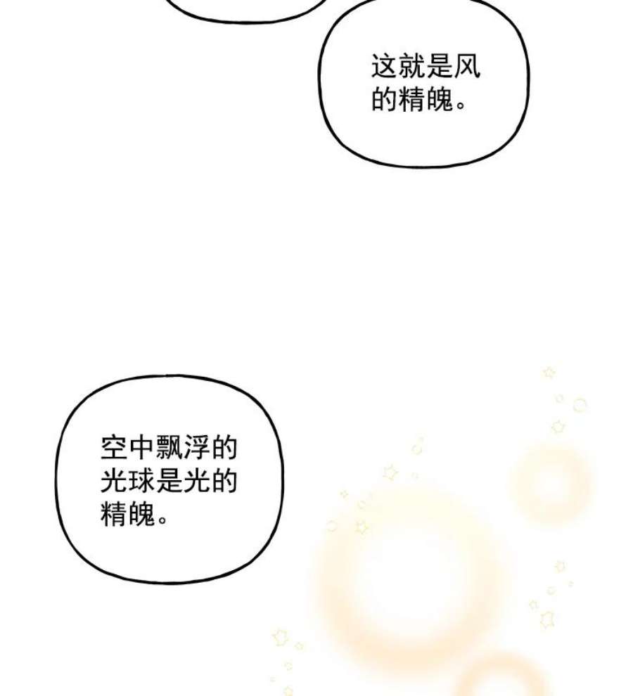 大魔法师的女儿免费观看漫画,54.精魄魔法 42图