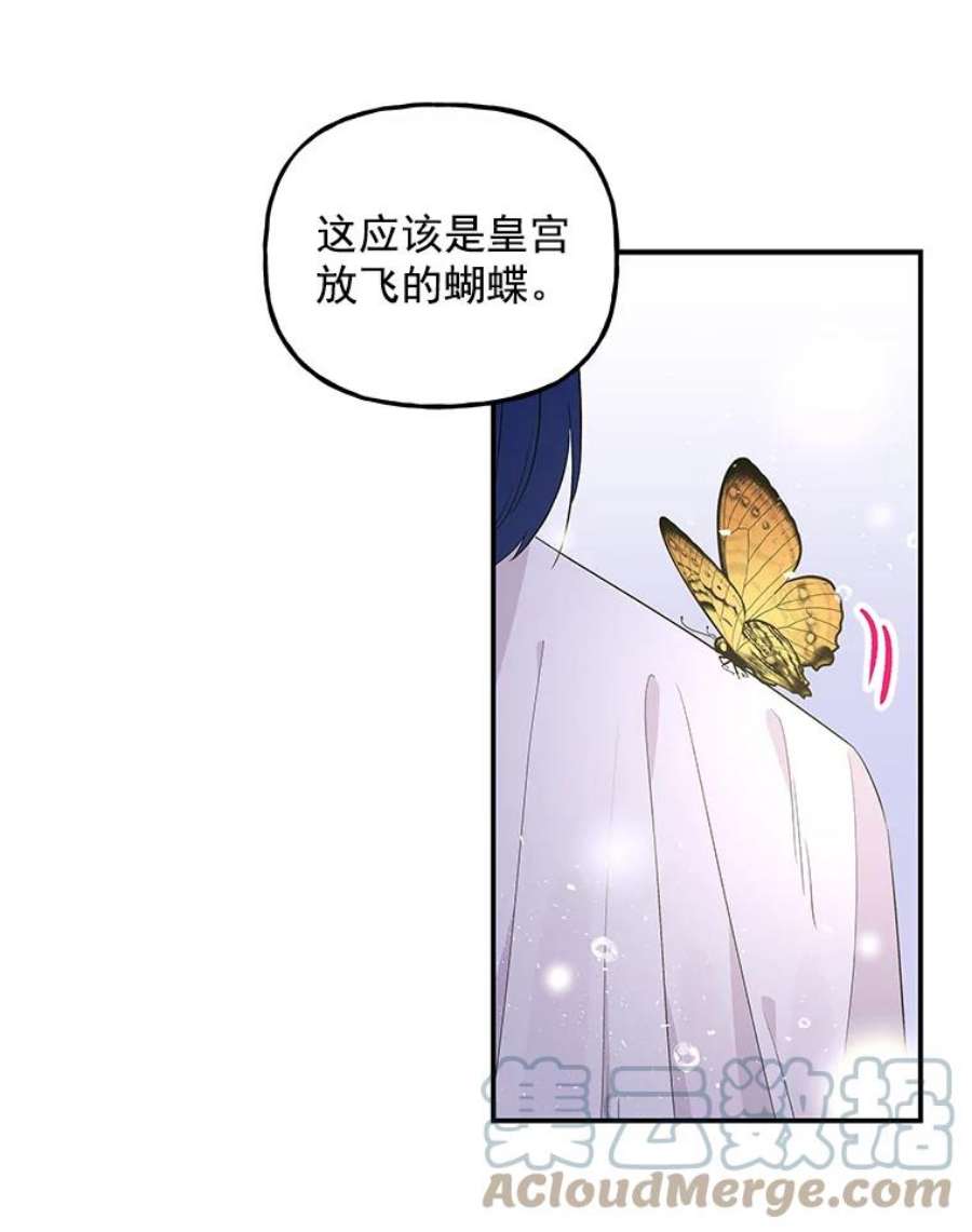 大魔法师的女儿免费观看漫画,54.精魄魔法 53图