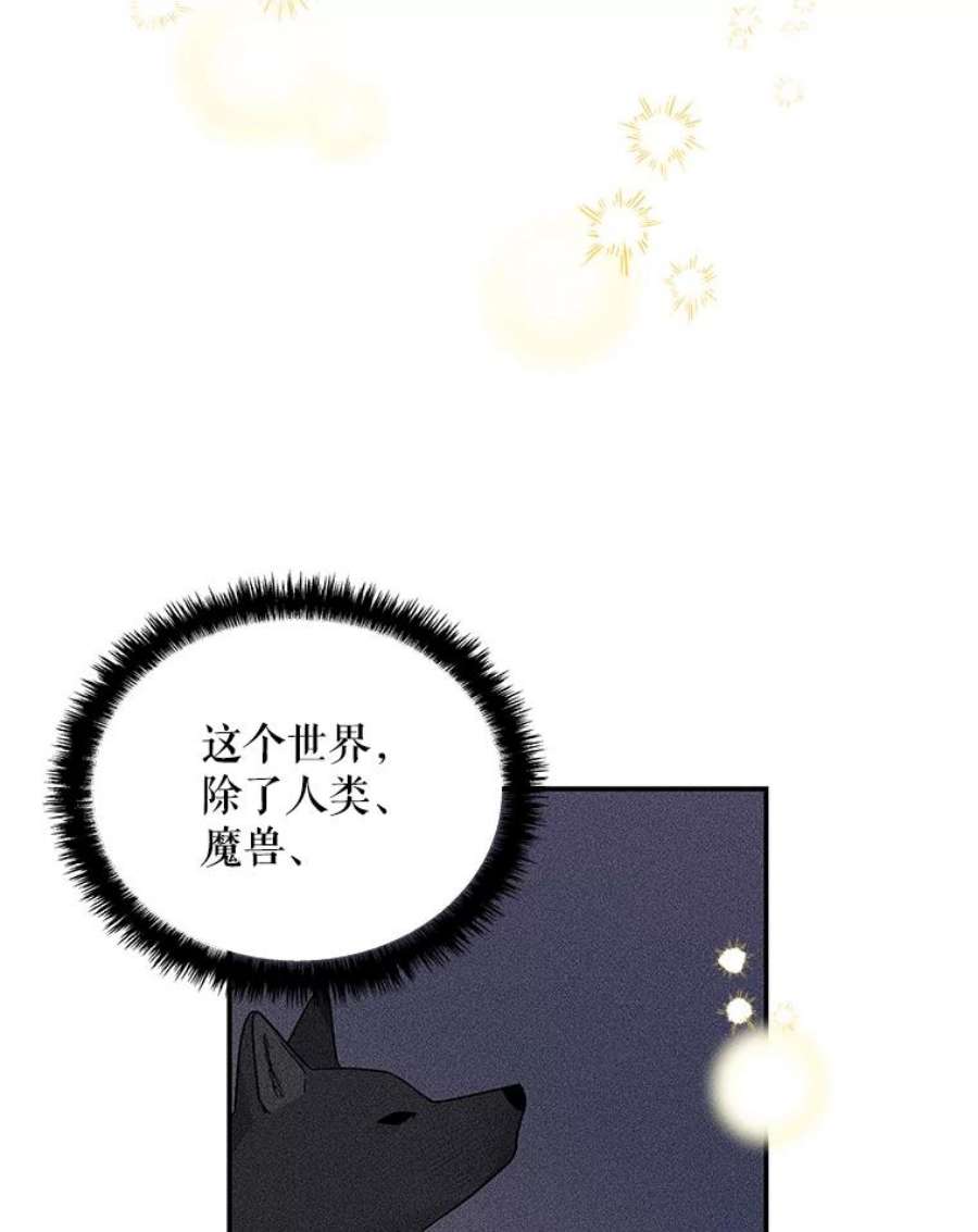 大魔法师的女儿免费观看漫画,54.精魄魔法 31图