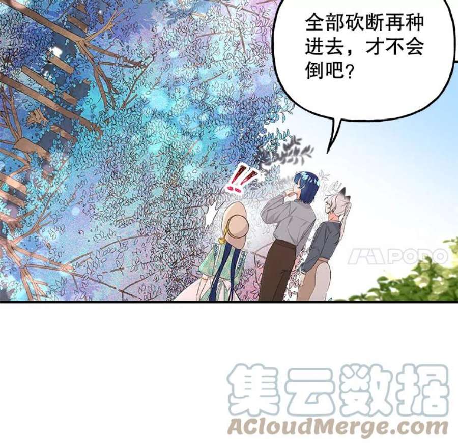 大魔法师的女儿免费观看漫画,58.胡萝卜田 5图