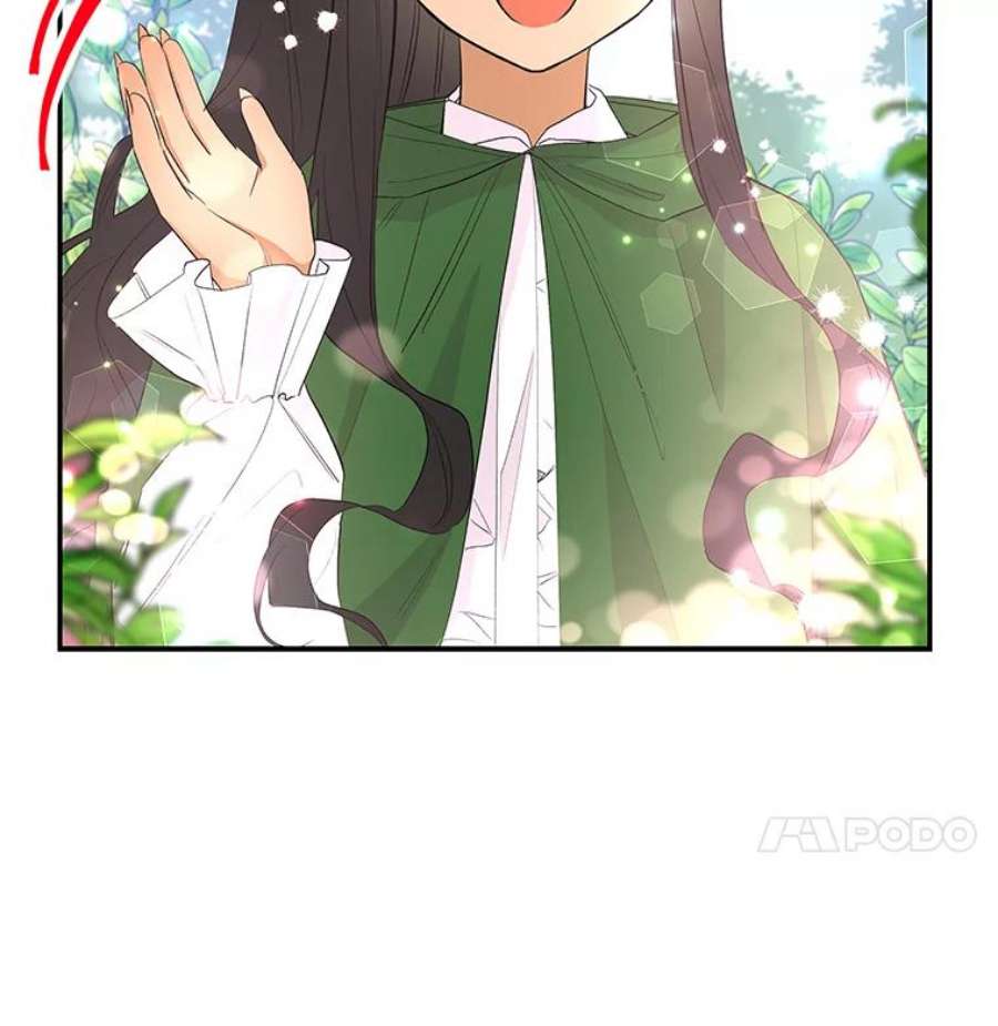 大魔法师的女儿免费观看漫画,62.薇薇安 98图