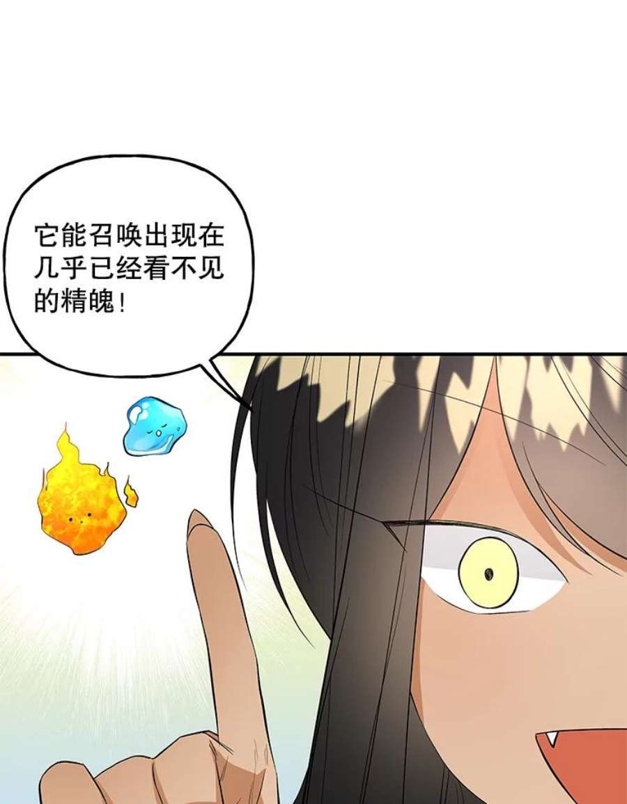 大魔法师的女儿免费观看漫画,65.精魄石 10图