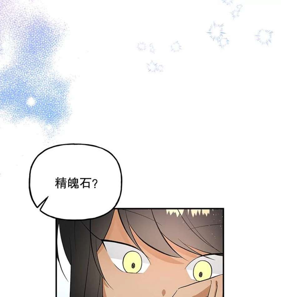 大魔法师的女儿免费观看漫画,65.精魄石 7图