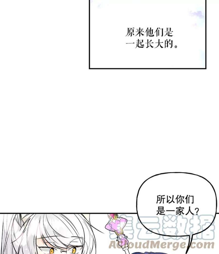 大魔法师的女儿免费观看漫画,65.精魄石 77图