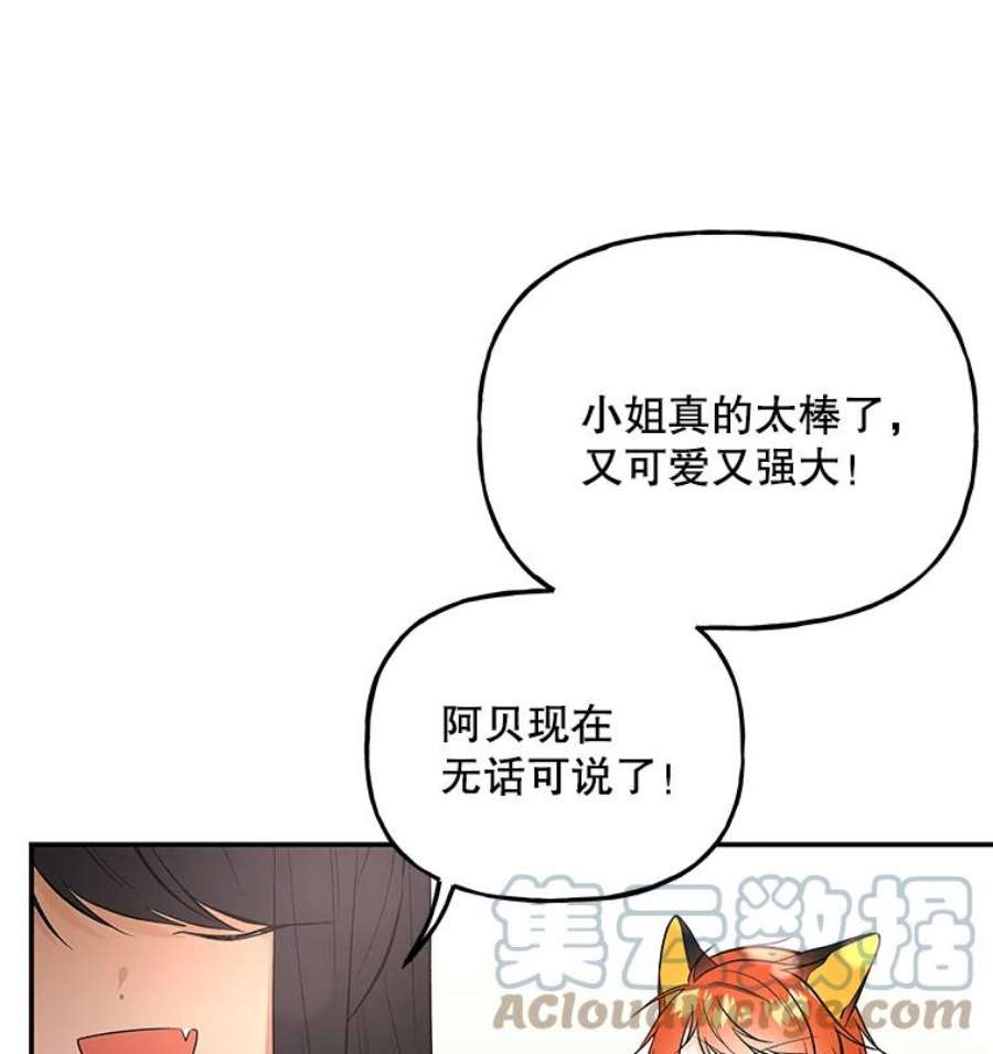 大魔法师的女儿免费观看漫画,65.精魄石 93图