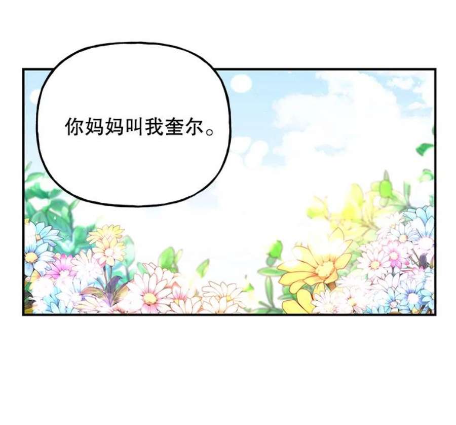 大魔法师的女儿免费观看漫画,65.精魄石 107图