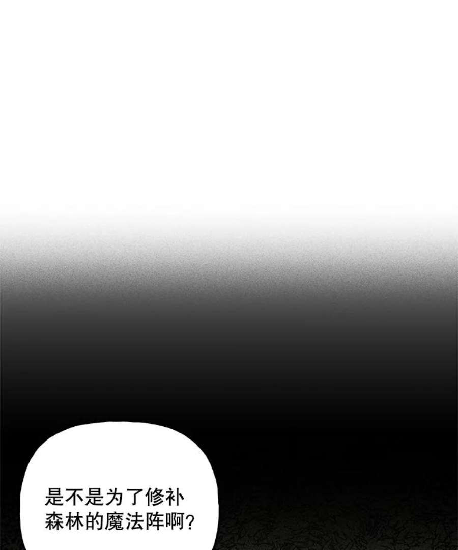 大魔法师的女儿免费奇妙漫画漫画,67.古代魔法 76图