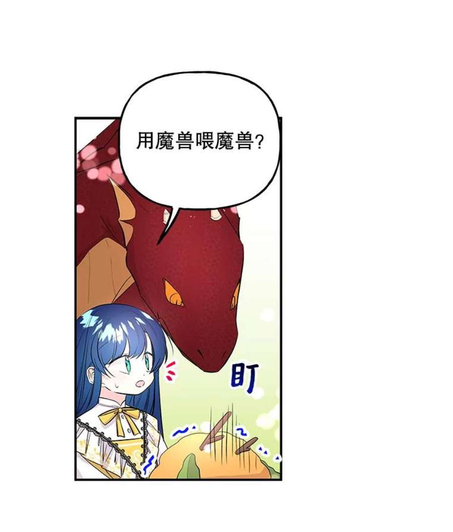 大魔法师的女儿免费奇妙漫画漫画,70.准备出发 102图