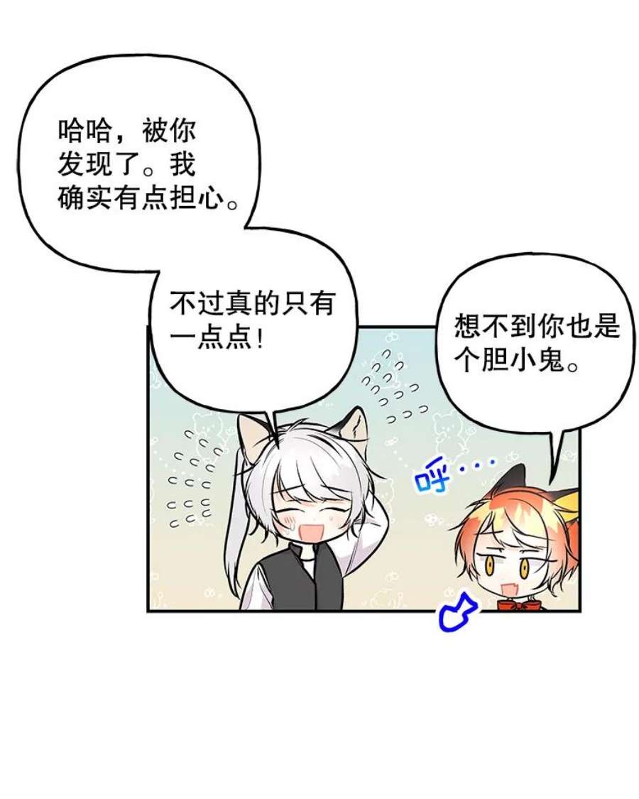 大魔法师的女儿免费观看漫画,74.准备入场 5图