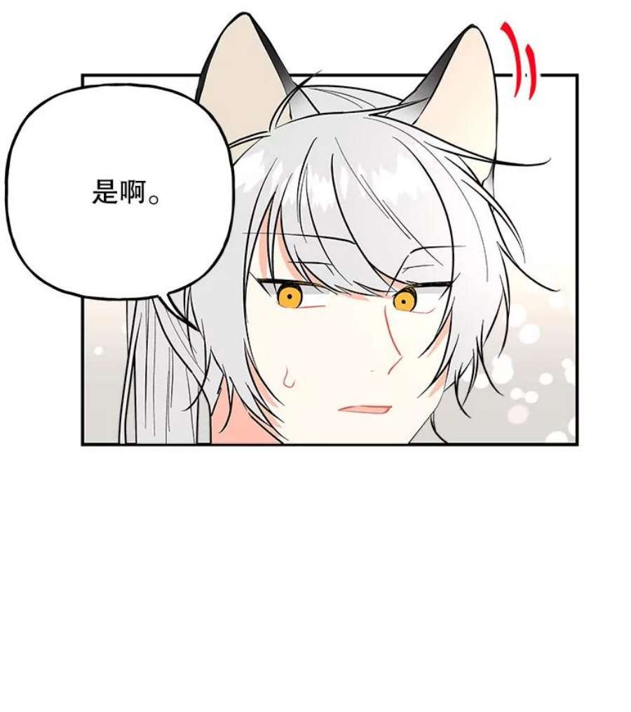 大魔法师的女儿免费奇妙漫画漫画,77.驯服 27图