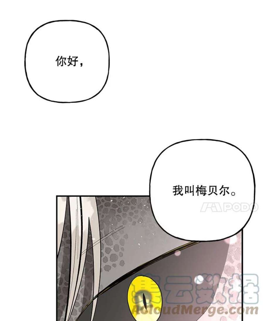 大魔法师的女儿免费奇妙漫画漫画,85.与龙人对话 67图