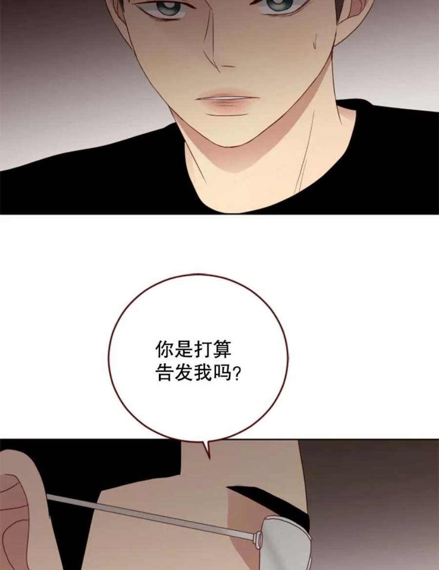 单恋的感觉是什么感觉漫画,80.正式反击 56图