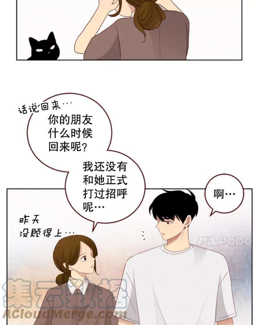 单恋的感觉是什么感觉漫画,80.正式反击 7图