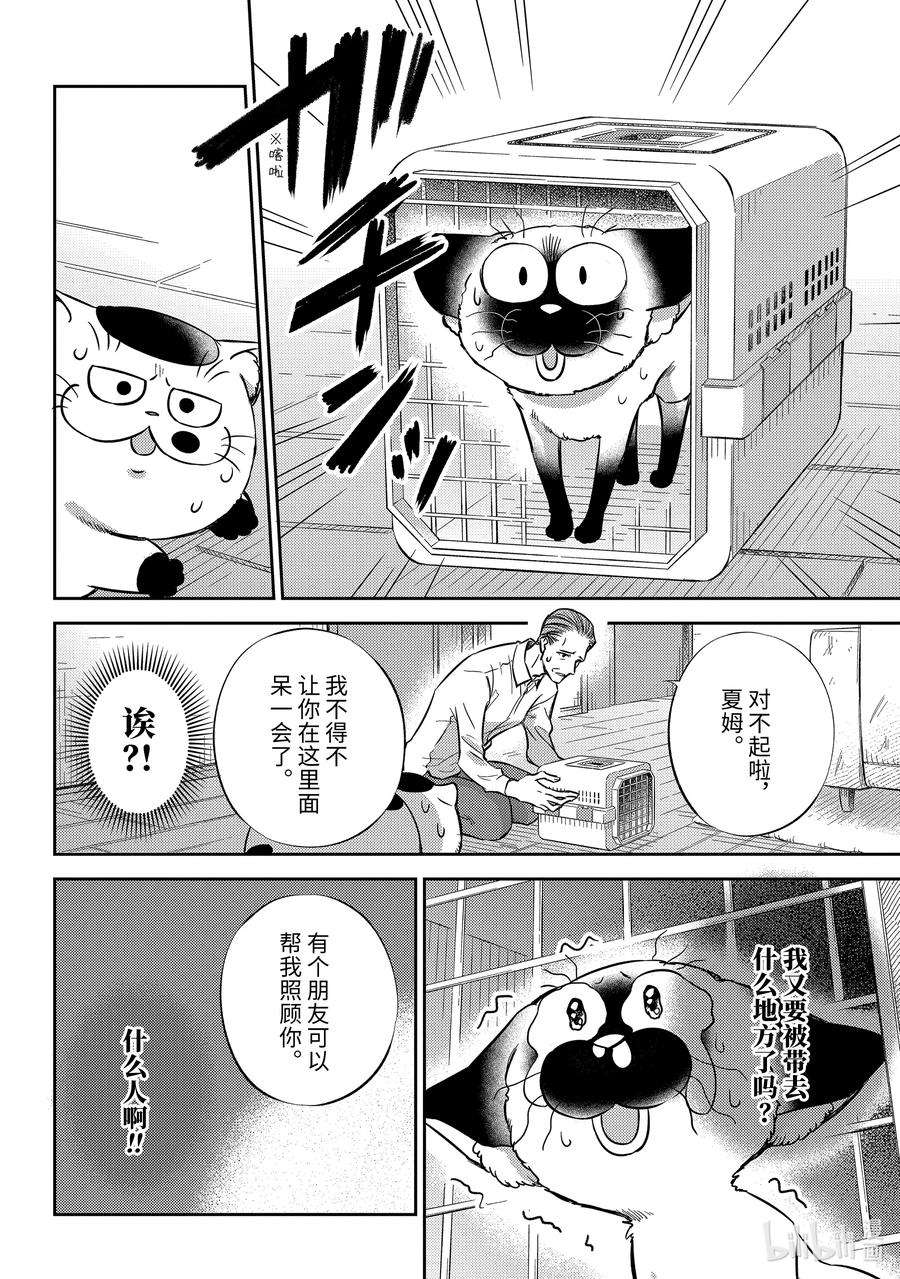 大叔与猫漫画,91 比宇宙还宽广的东西喵 12图