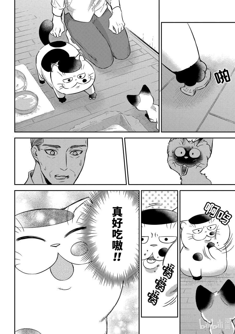 大叔与猫漫画,91 比宇宙还宽广的东西喵 4图