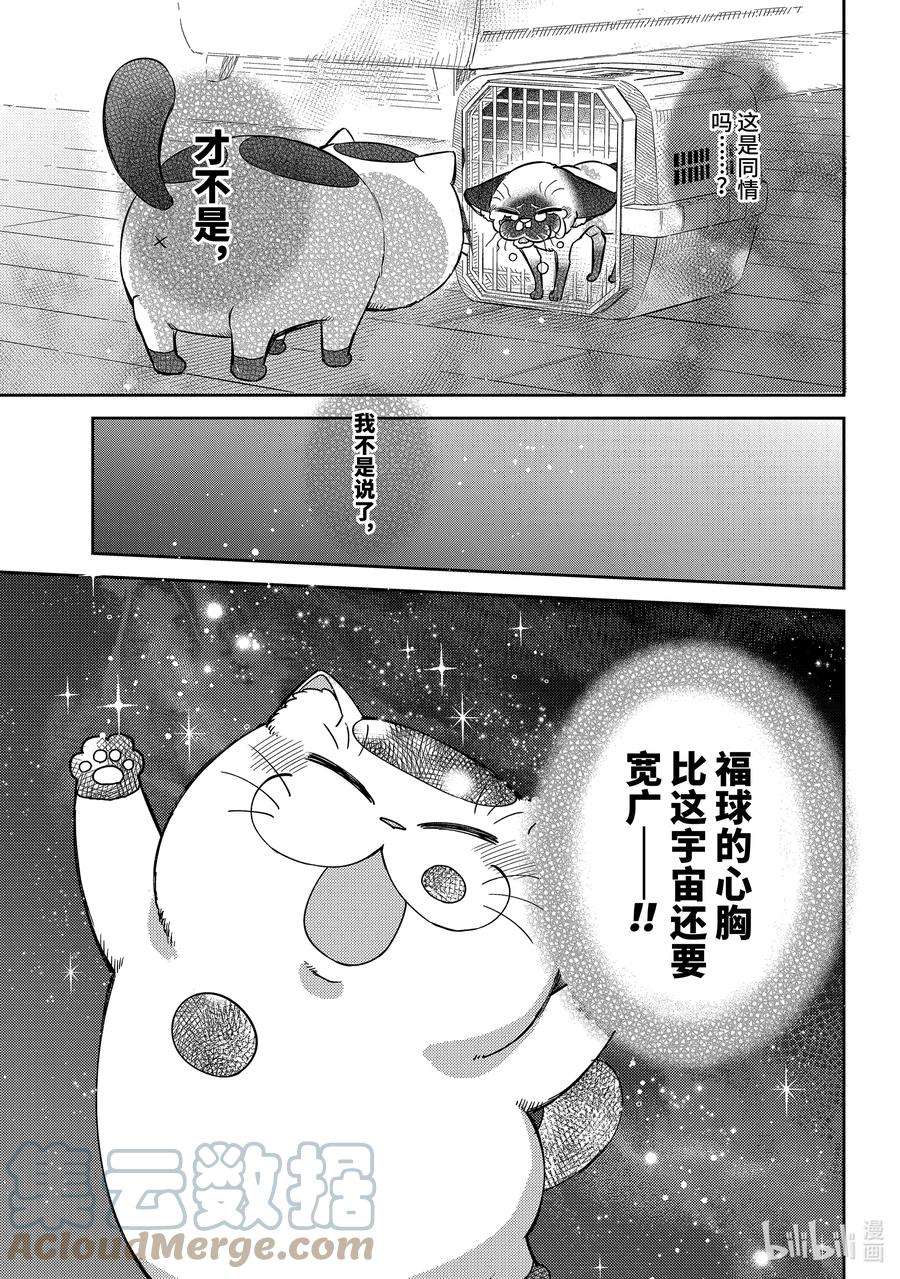 大叔与猫漫画,91 比宇宙还宽广的东西喵 17图