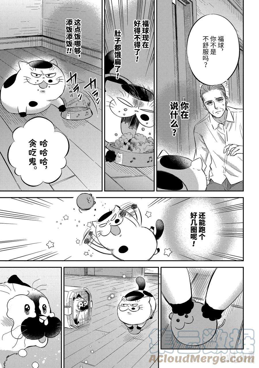 大叔与猫漫画,91 比宇宙还宽广的东西喵 15图