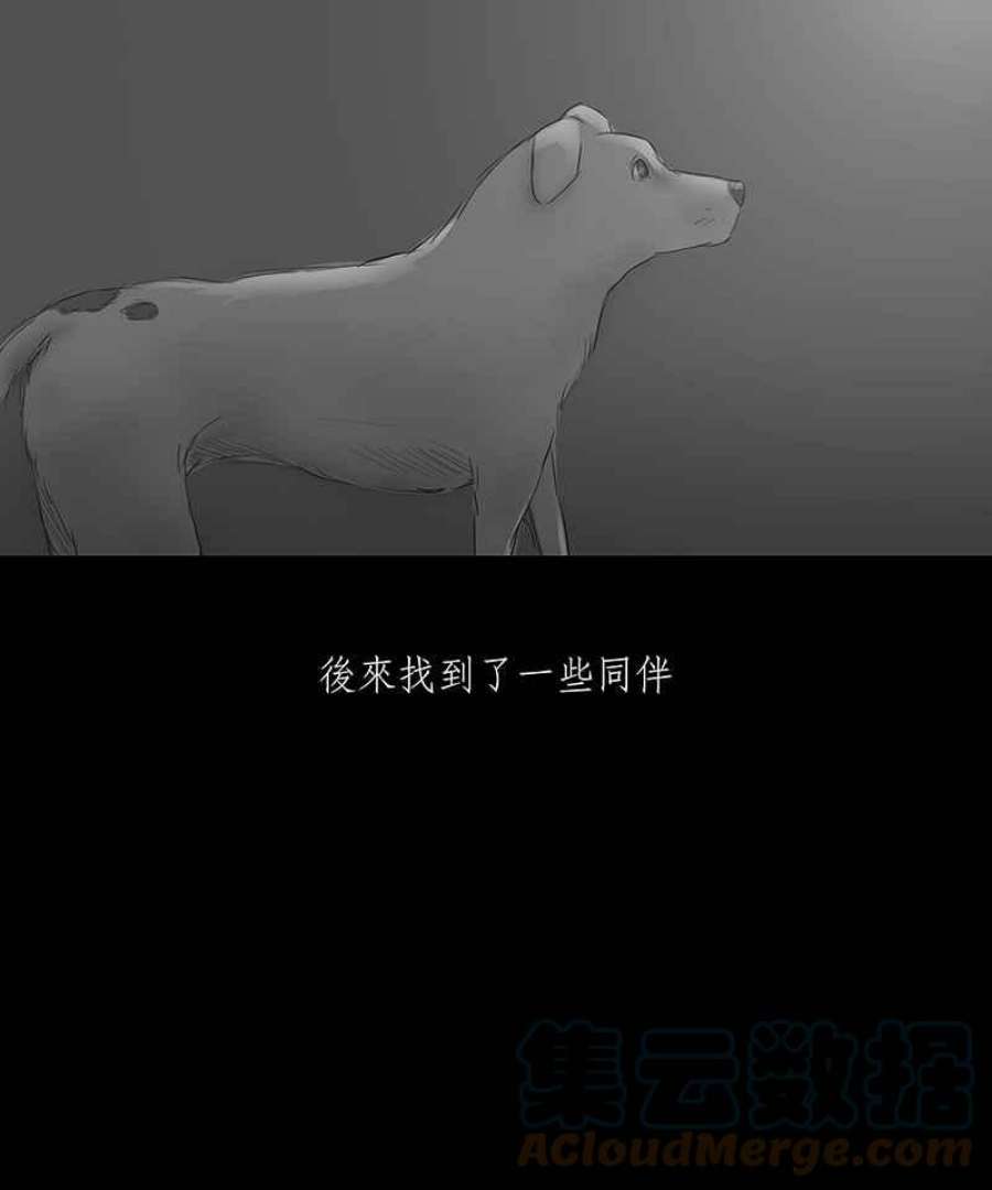 黑盒子app官网漫画,[第4话] 异域 (1)7图