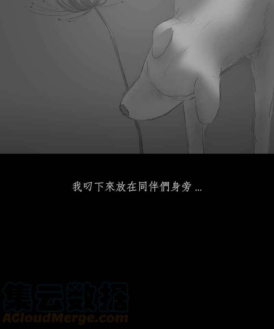 黑盒子app官网漫画,[第4话] 异域 (1)11图