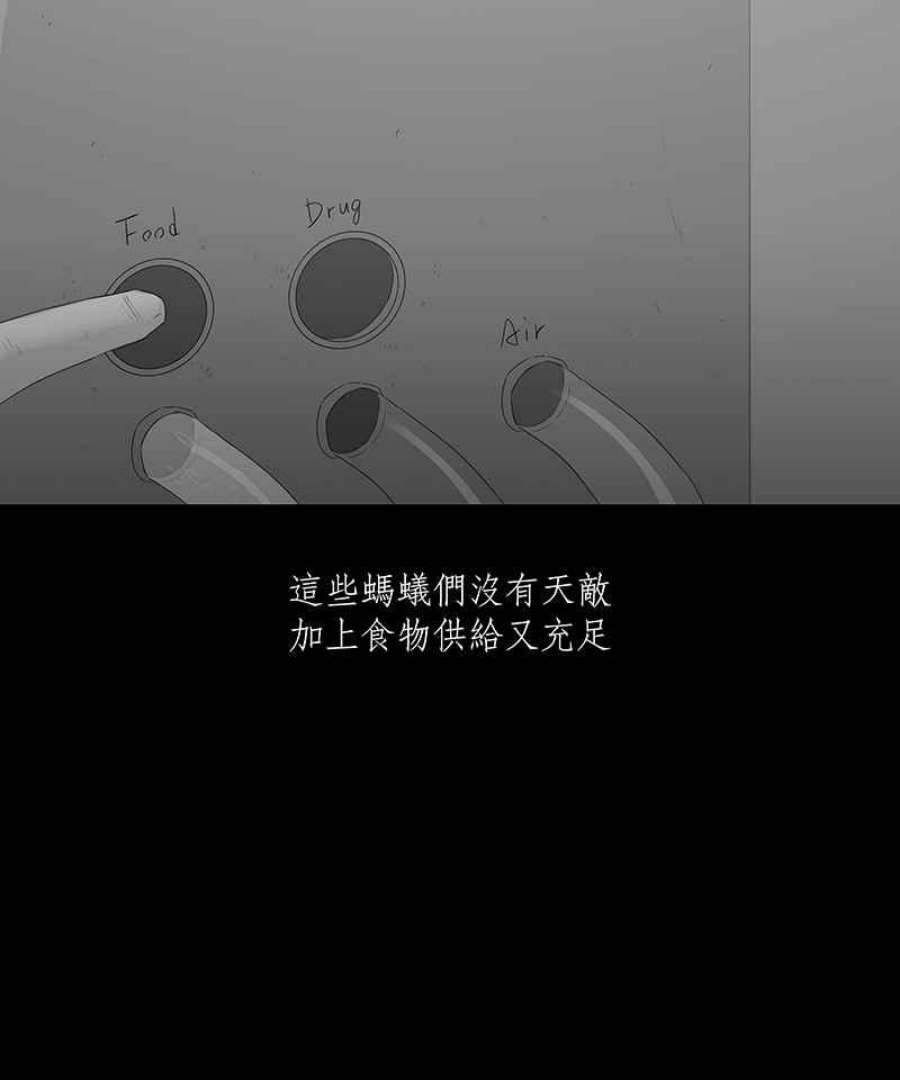 黑盒子的香烟漫画,[第63话] 蚂蚁教(1)32图