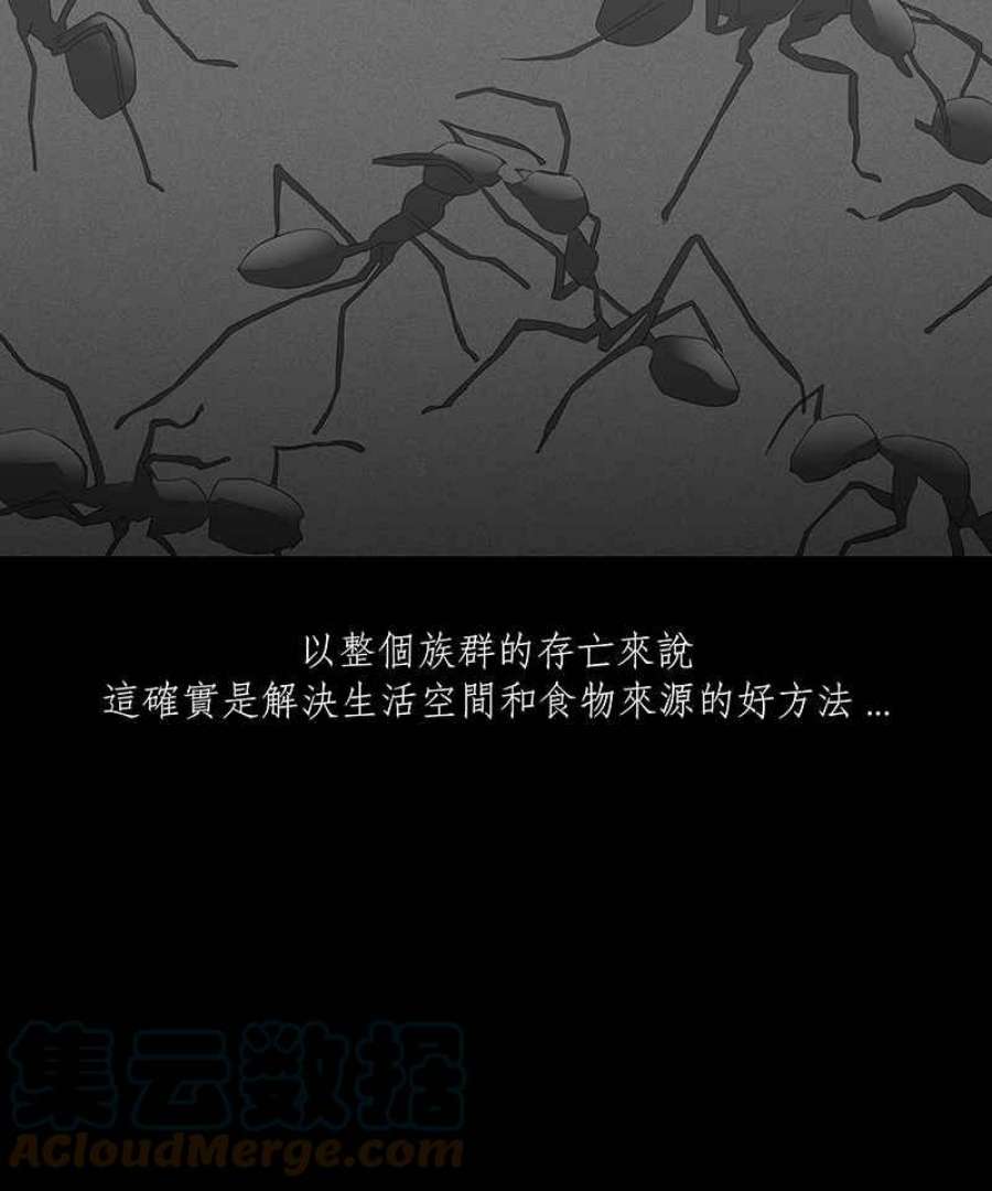 黑盒子房子什么意思漫画,[第64话] 蚂蚁教(2)11图