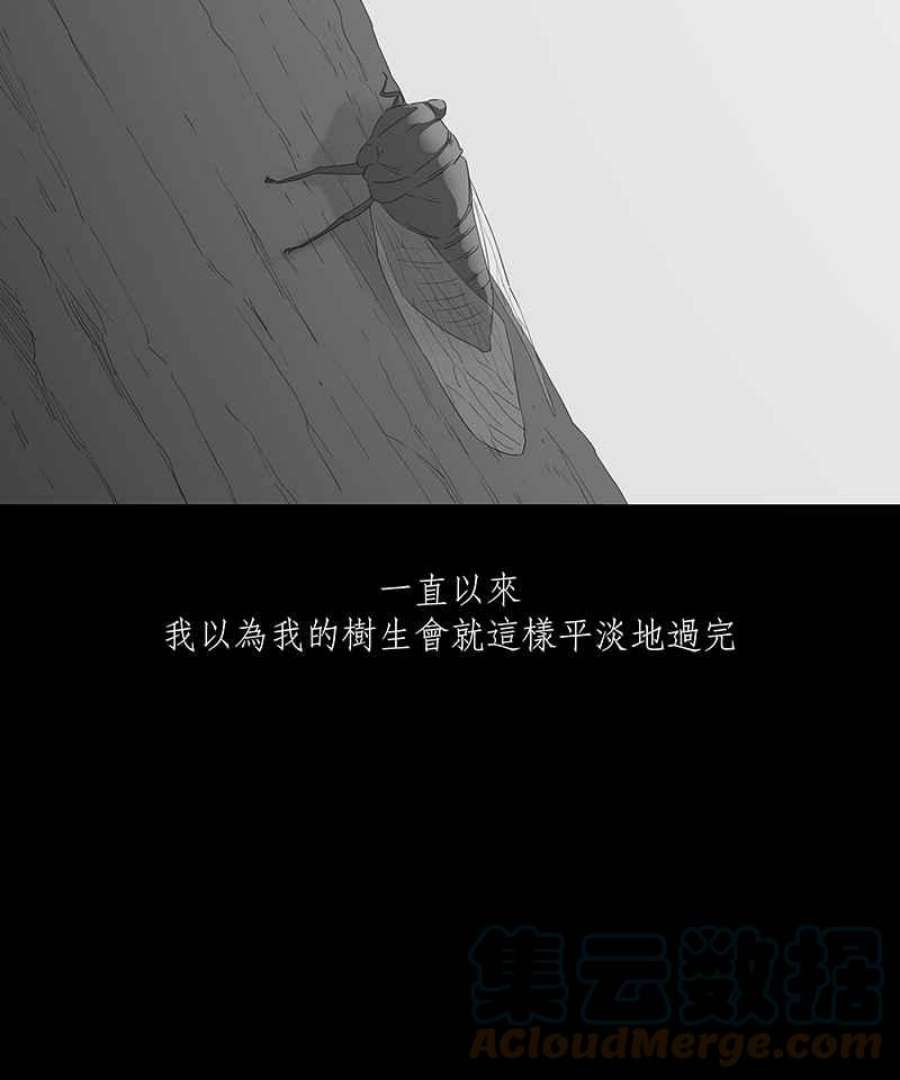 黑盒子app官网漫画,[第104话] 树木君的复仇5图