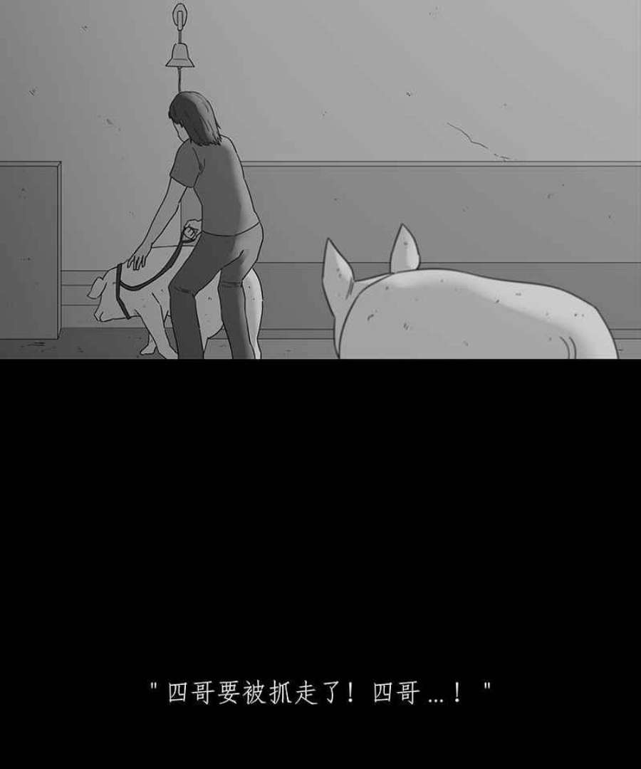 黑盒子悟空地图漫画,[第117话] 猪人(3)26图