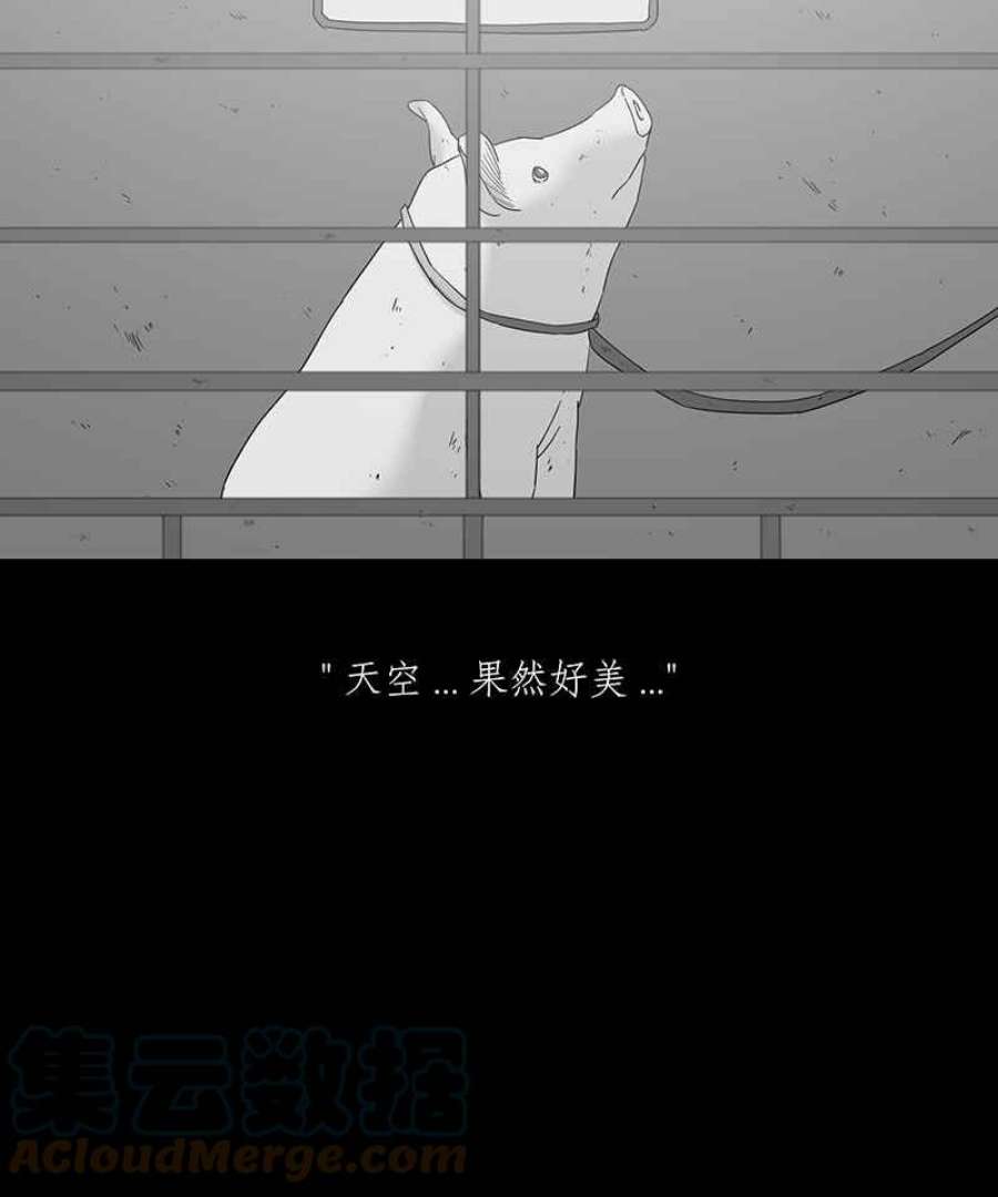 黑盒子的香烟漫画,[第118话] 猪人(4)3图