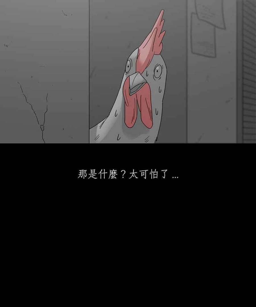 黑盒子app官网漫画,[第186话] 浪鸡天涯(2)8图