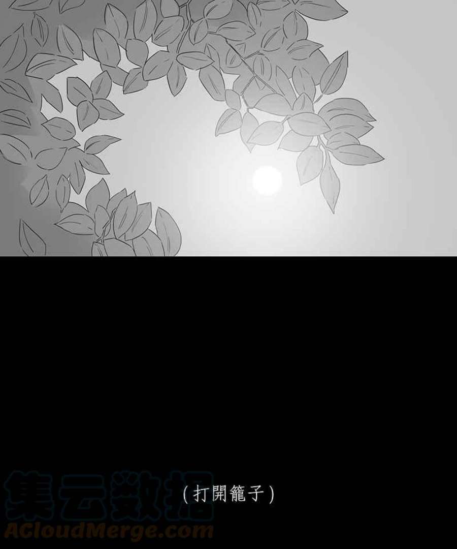 黑盒子app官网漫画,[第187话] 浪鸡天涯(3)27图