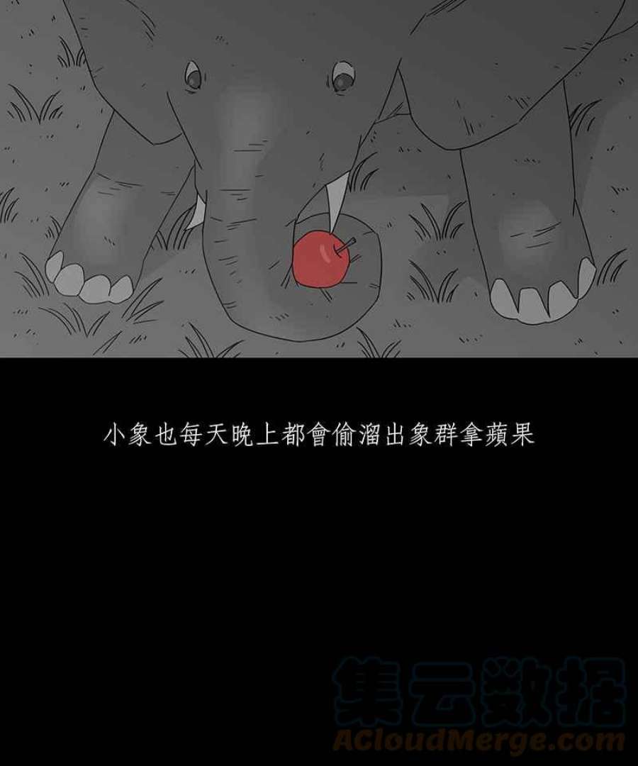 黑盒子app官网漫画,[第199话] 摄象者(2)37图