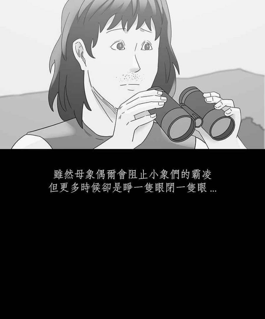 黑盒子app官网漫画,[第199话] 摄象者(2)4图